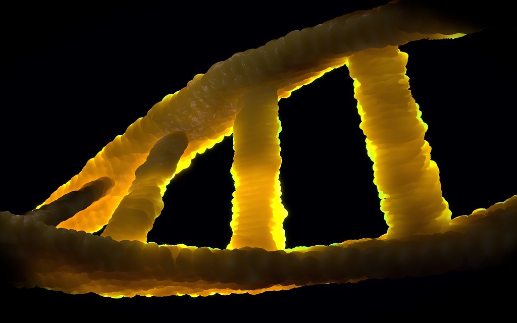 DNA