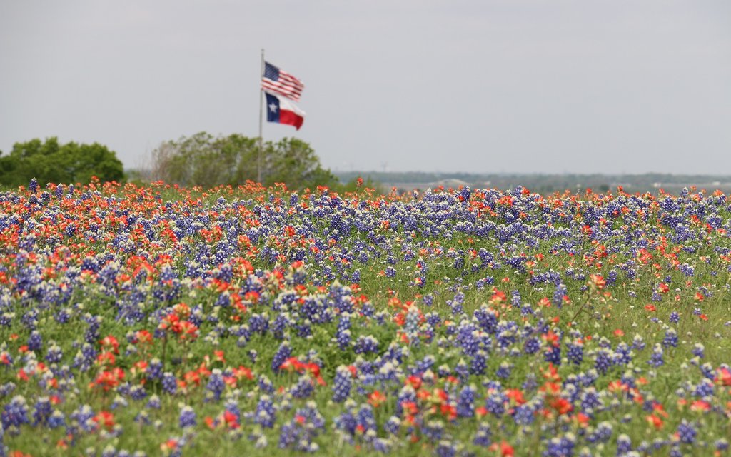 Texas