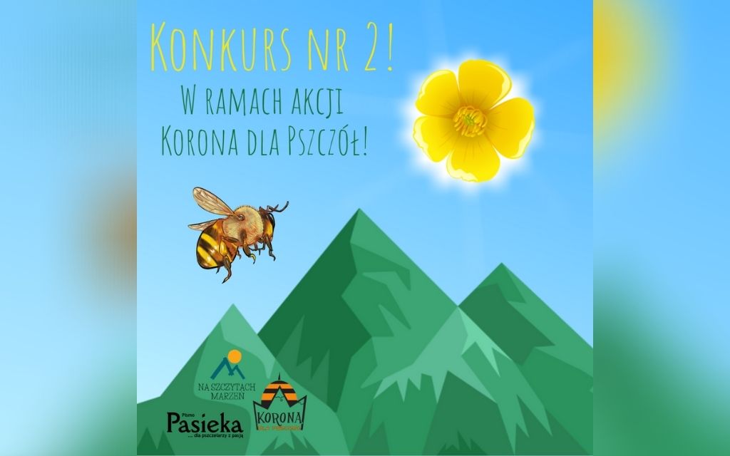 Konkurs nr 2 w ramach akcji Korona dla Pszczół