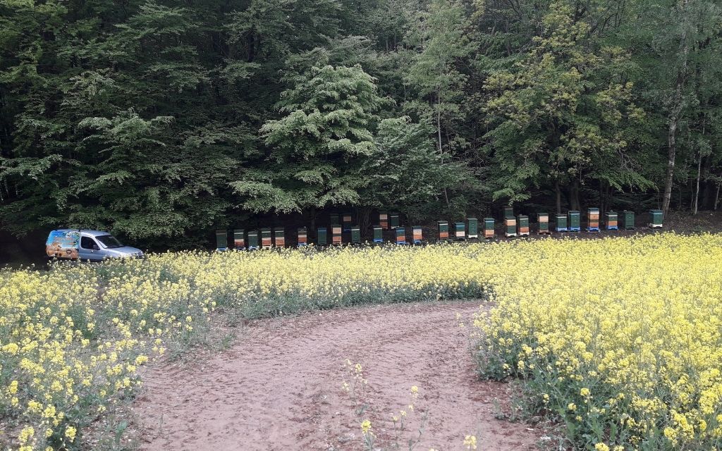 miejsce zdarzenia