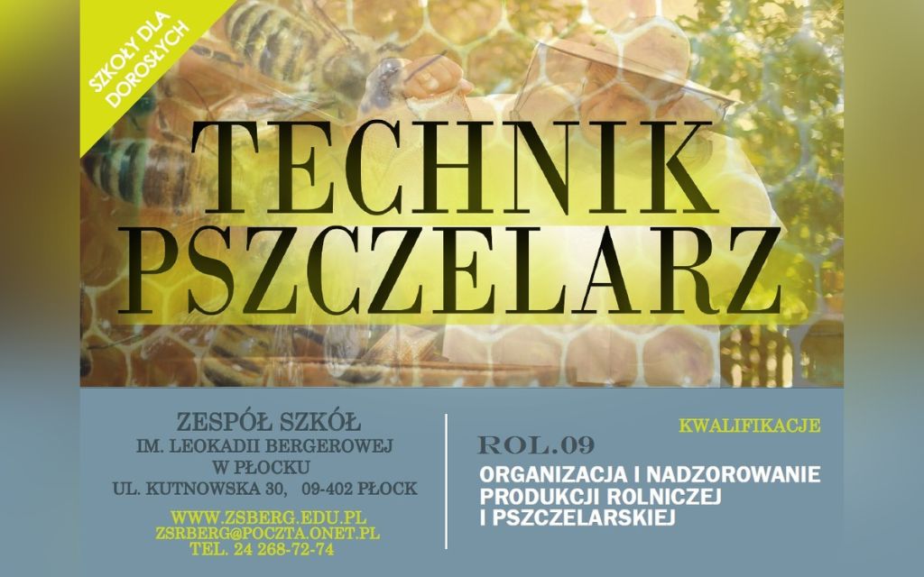 nowy lpeszy płock