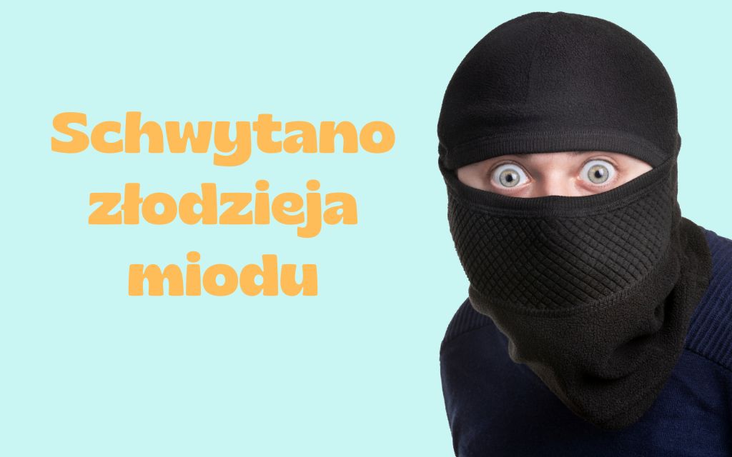 Schwytano złodzieja miodu
