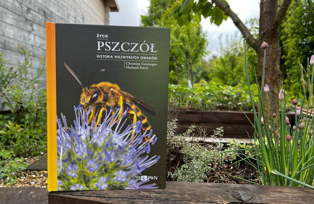 książka pt. Życie pszczół PWN