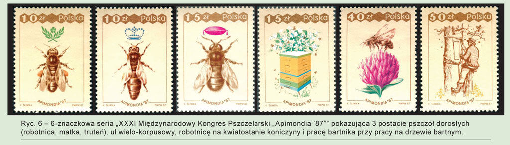 Pasieka w klaserze