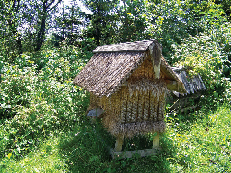 Garść wspomnień