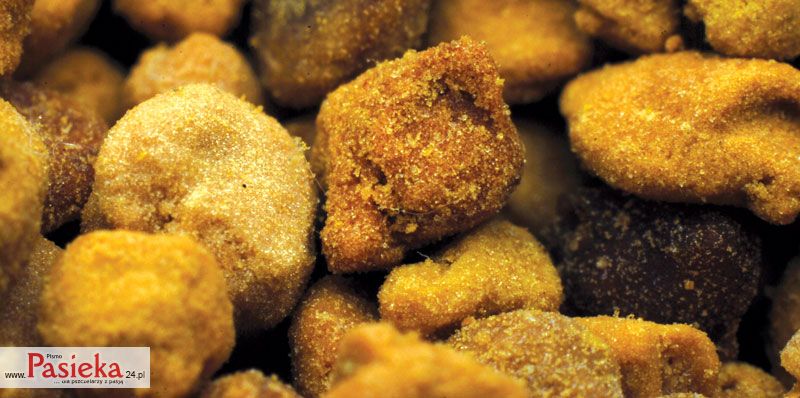 Leczenie zapalenia gruczołu krokowego za pomocą produktów pszczelich