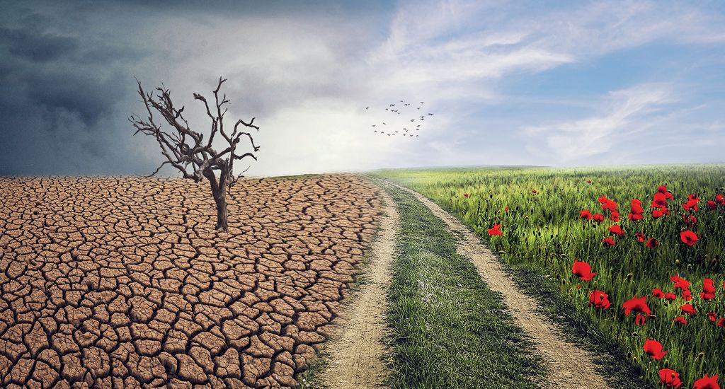 Wpływ zmiany klimatu na rolnictwo w Polsce