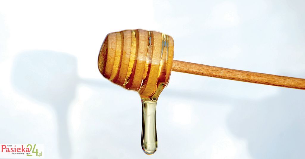 Miód akacjowy pod lupą