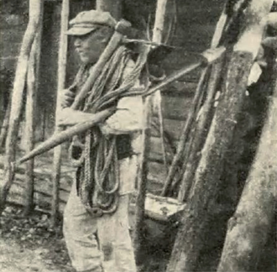 Niezwykła historia polskiego badacza pszczół Stefana Blank-Weissberga