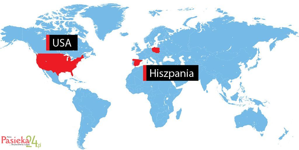 W telegraficznym skrócie