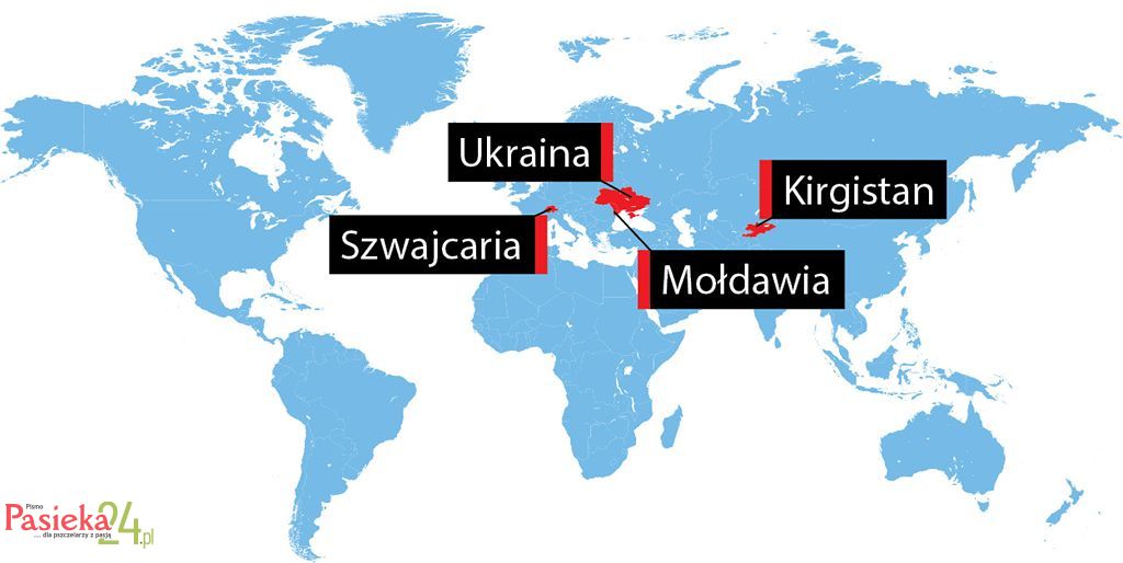 W telegraficznym skrócie