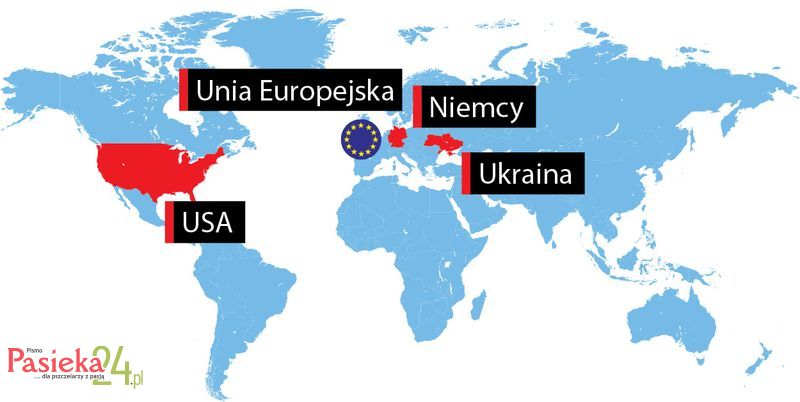 W telegraficznym skrócie