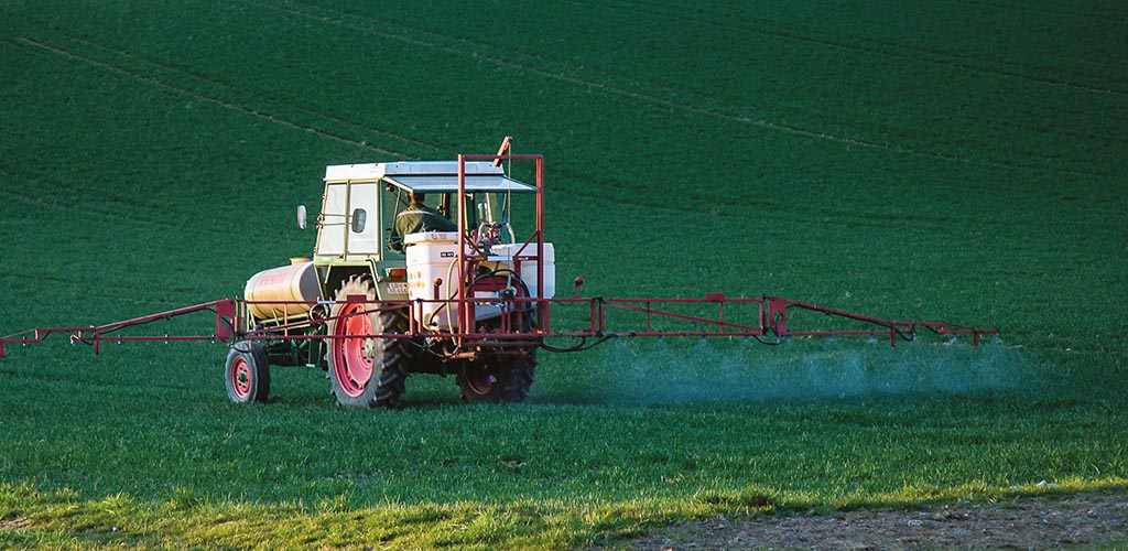 K192_365-faktow-o-pszczolach/pestycydy.jpg