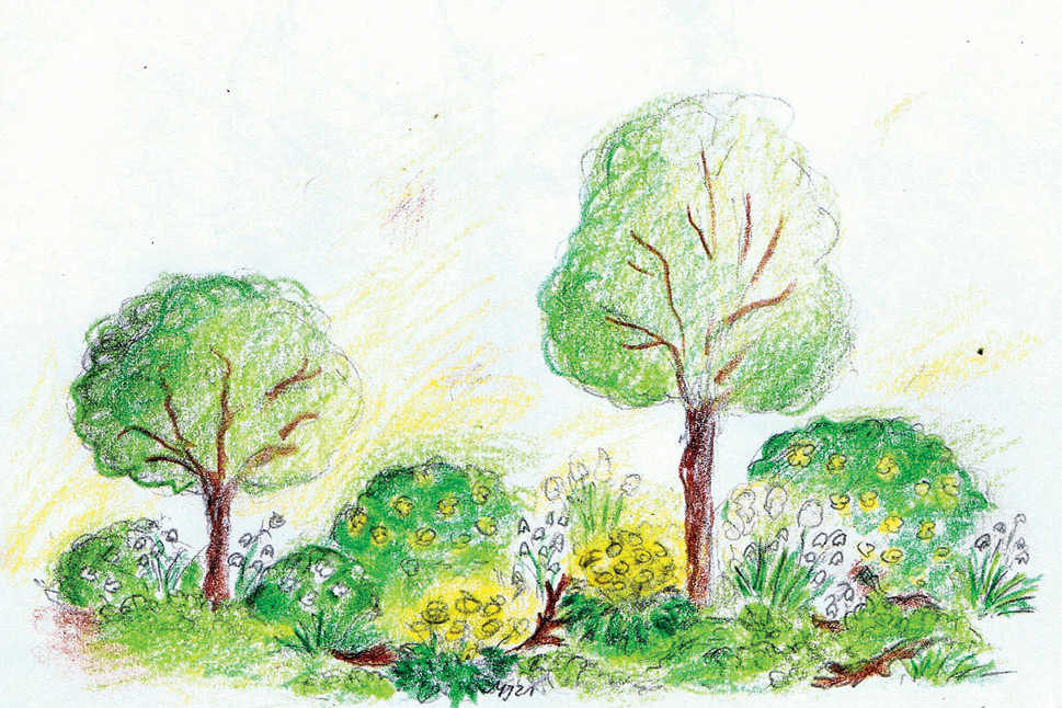 Stupina